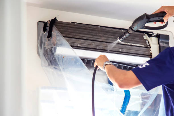 Best Professional Duct Cleaning Services  in Walnut Hill, TN