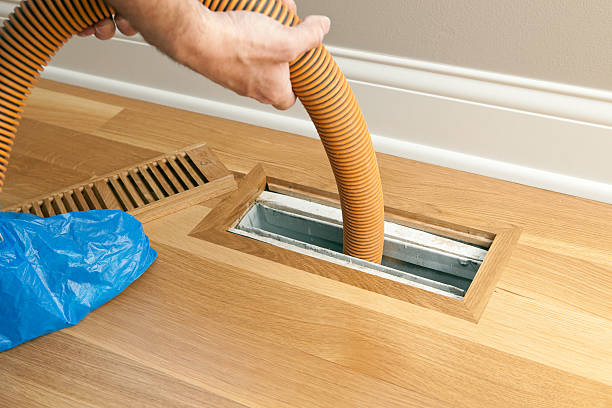 Best Local Air Duct Cleaning Services  in Walnut Hill, TN