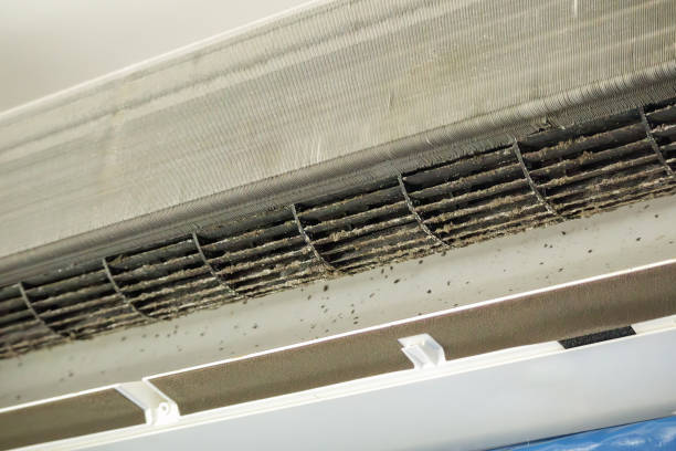 Best Best Air Duct Cleaning Company  in Walnut Hill, TN