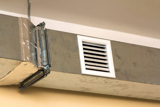 Best Duct Cleaning for Homes  in Walnut Hill, TN